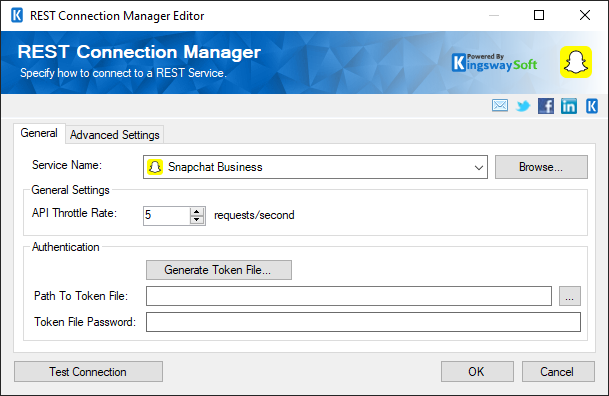 SSIS Snapchat Business Connection Manager